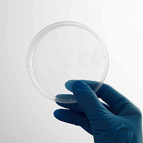 CellDETACH? 温敏细胞培养器